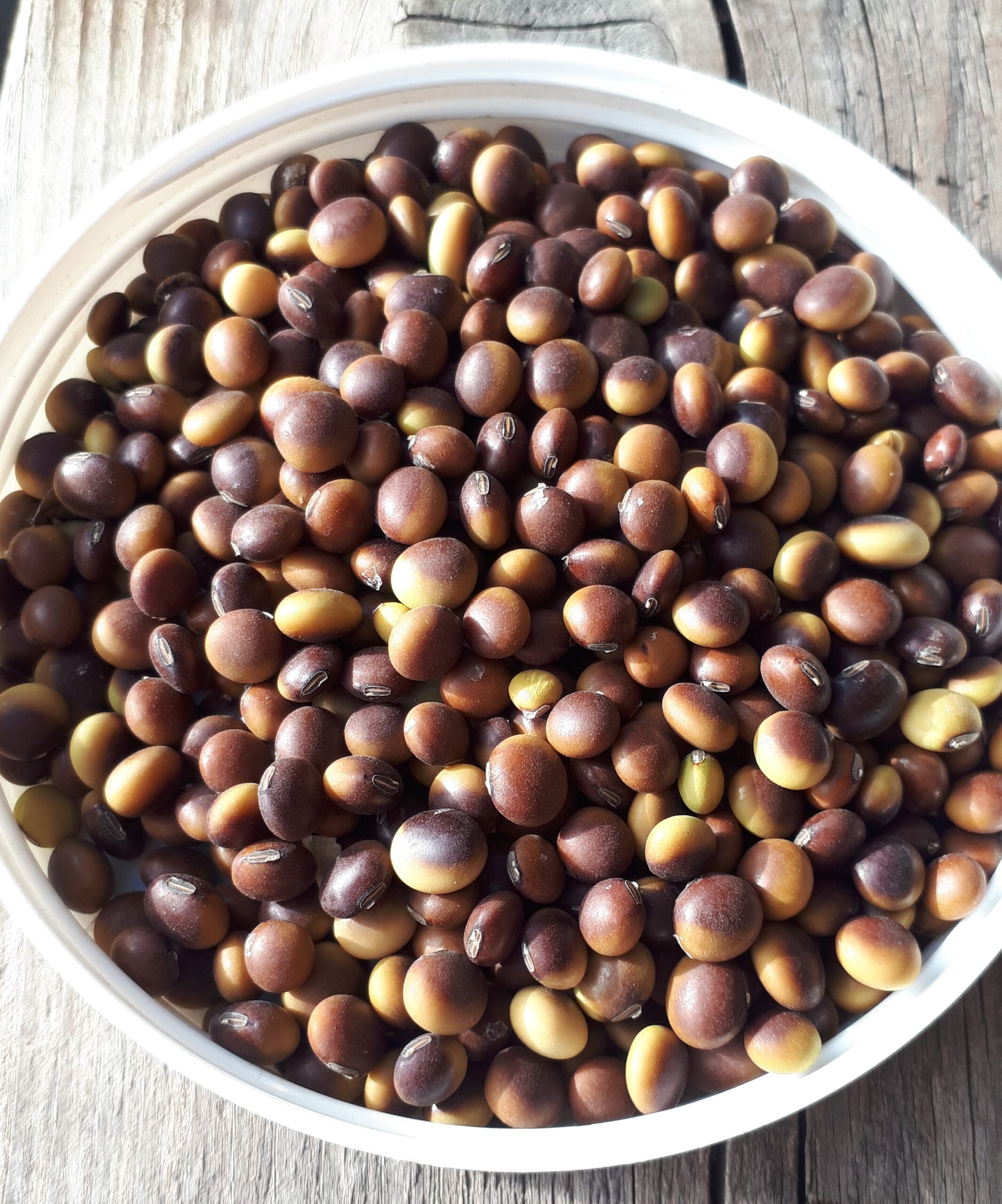 Soybeans